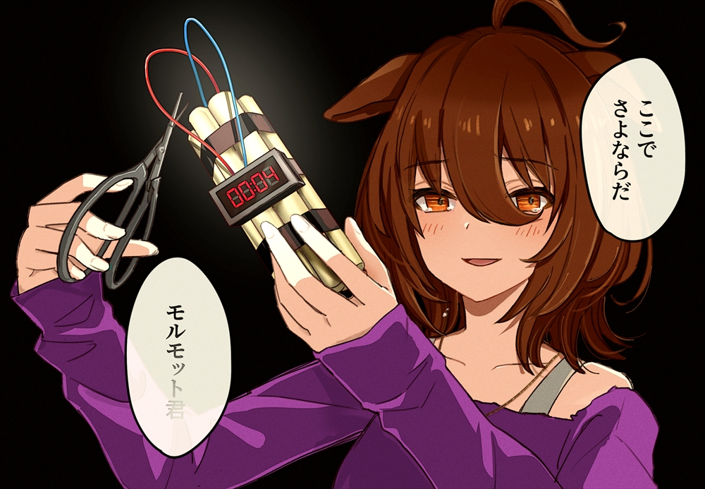 Agnes Tachyon (Umamusume) Rule 34 Image