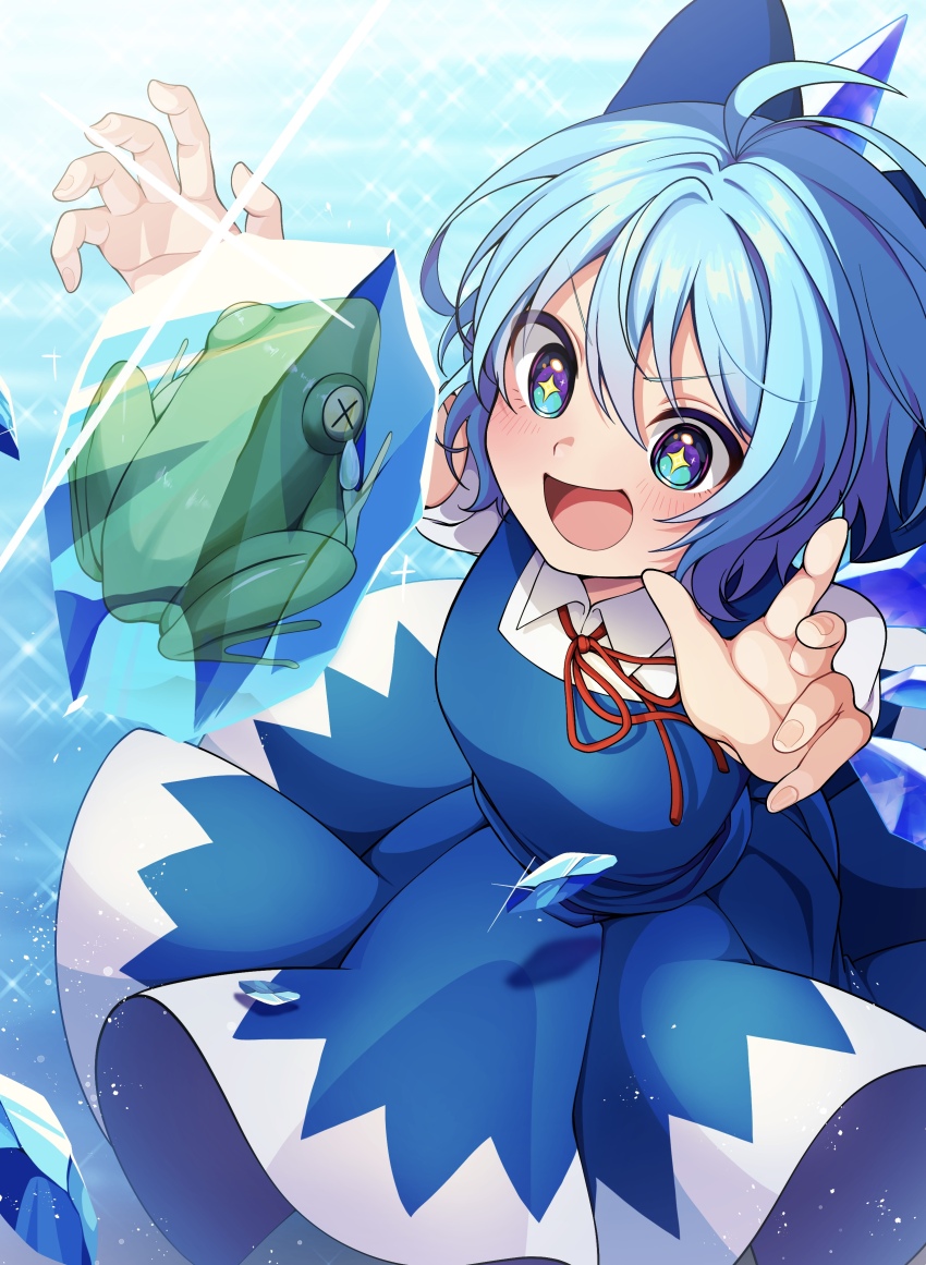 Cirno (Touhou) Rule 34 Image