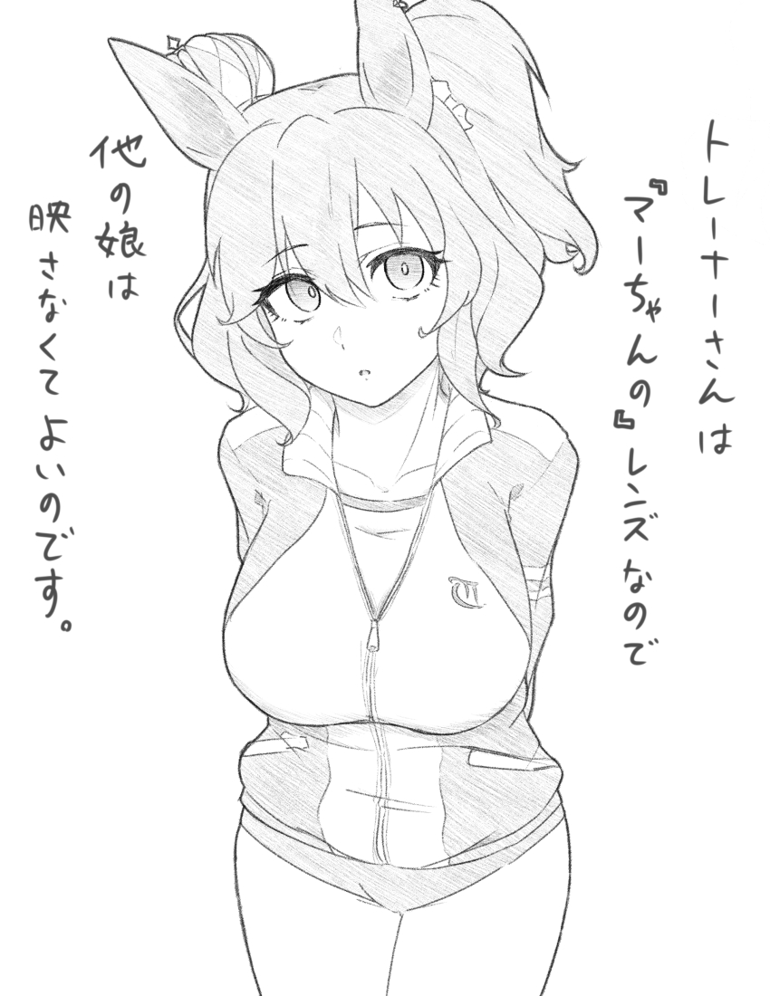 Aston Machan (Umamusume) Rule 34 Image