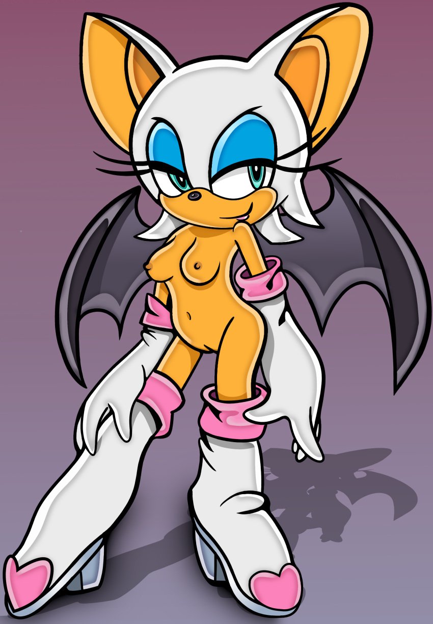 Rouge The Bat (Sonic (Series)) Rule 34 Image