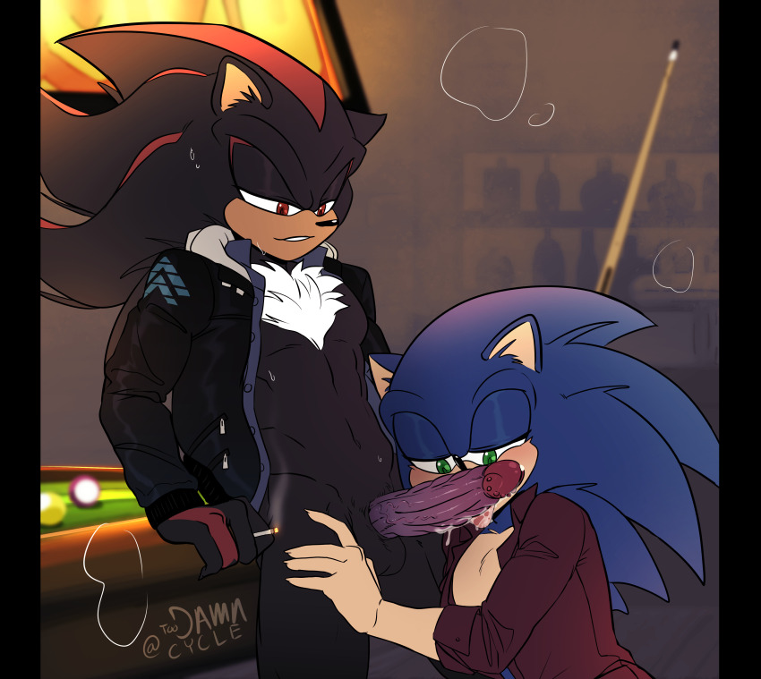 Shadow The Hedgehog (Sonic (Series)) Rule 34 Image