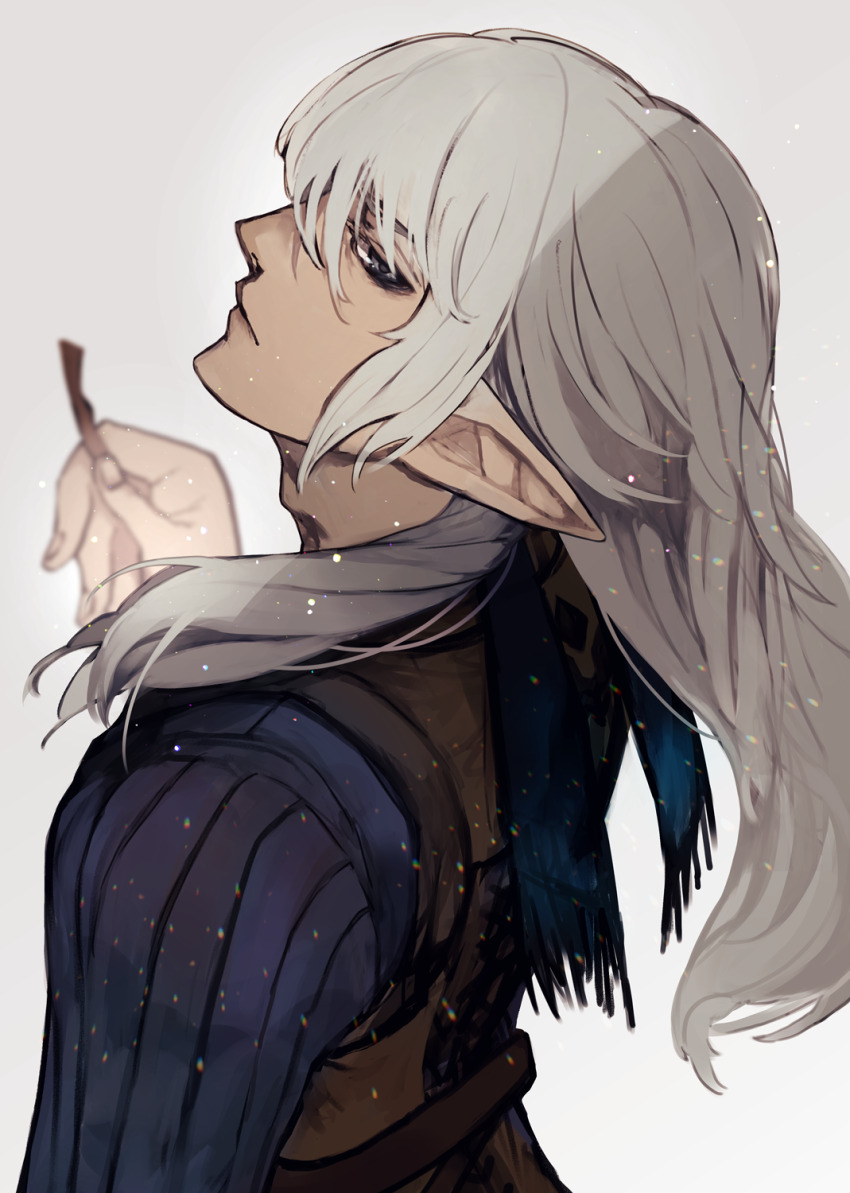 Elezen (Final Fantasy) Rule 34 Image