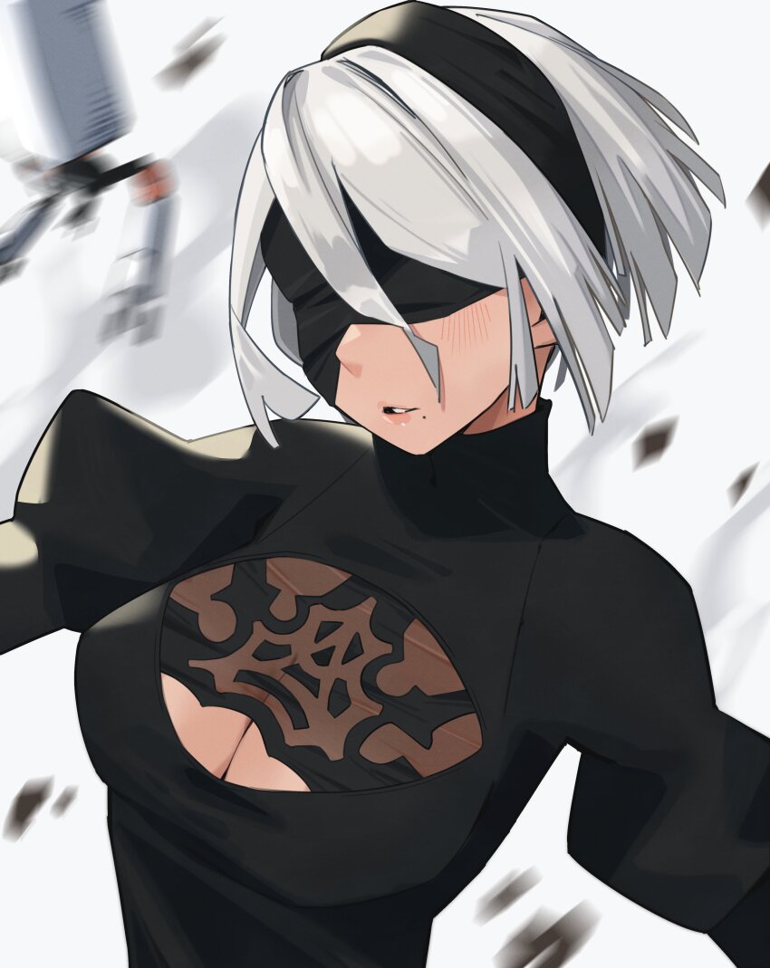 2b (Nier:Automata) Rule 34 Image