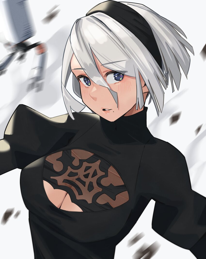 2b (Nier:Automata) Rule 34 Image