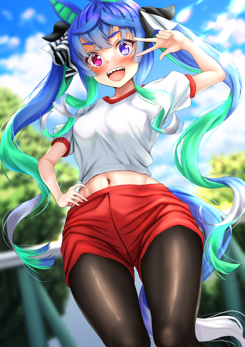 Twin Turbo (Umamusume) Rule 34 Image