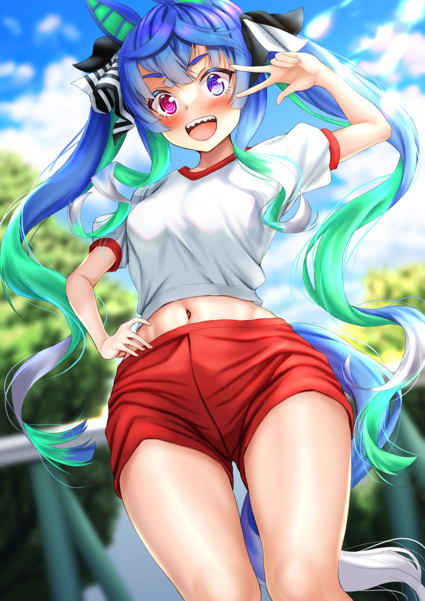 Twin Turbo (Umamusume) Rule 34 Image