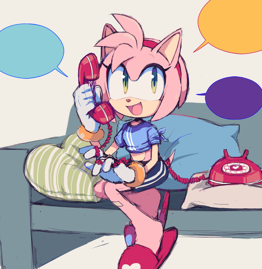 Amy Rose (Sonic (Series)) Rule 34 Image