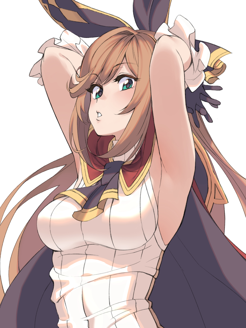 Clarisse (Granblue Fantasy) Rule 34 Image