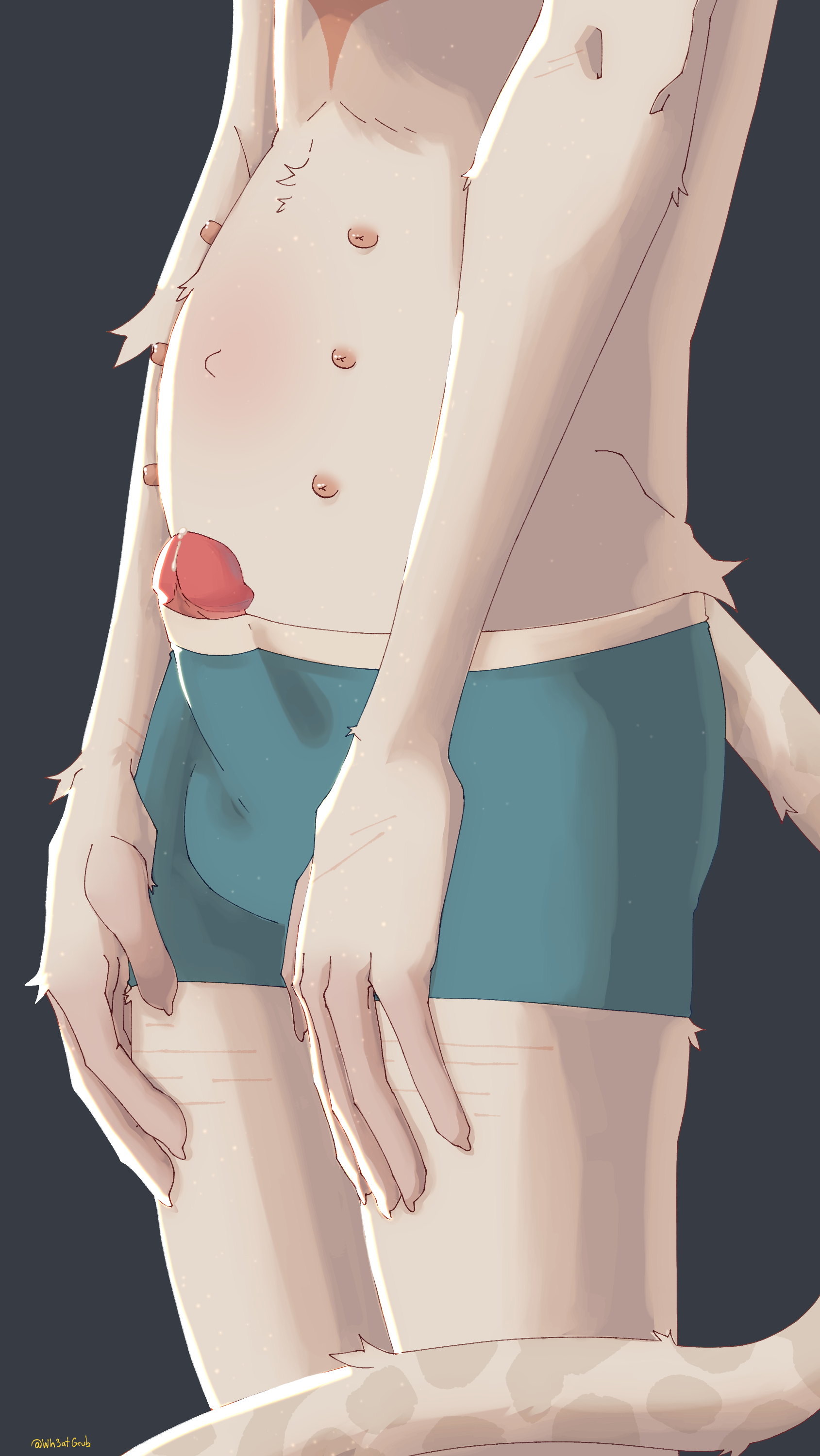 6 Nipples Rule 34 Image