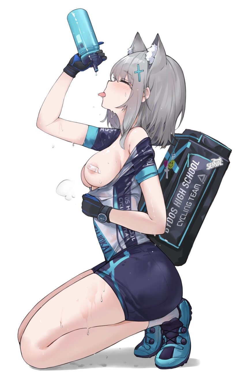 Shiroko (Blue Archive) Rule 34 Image