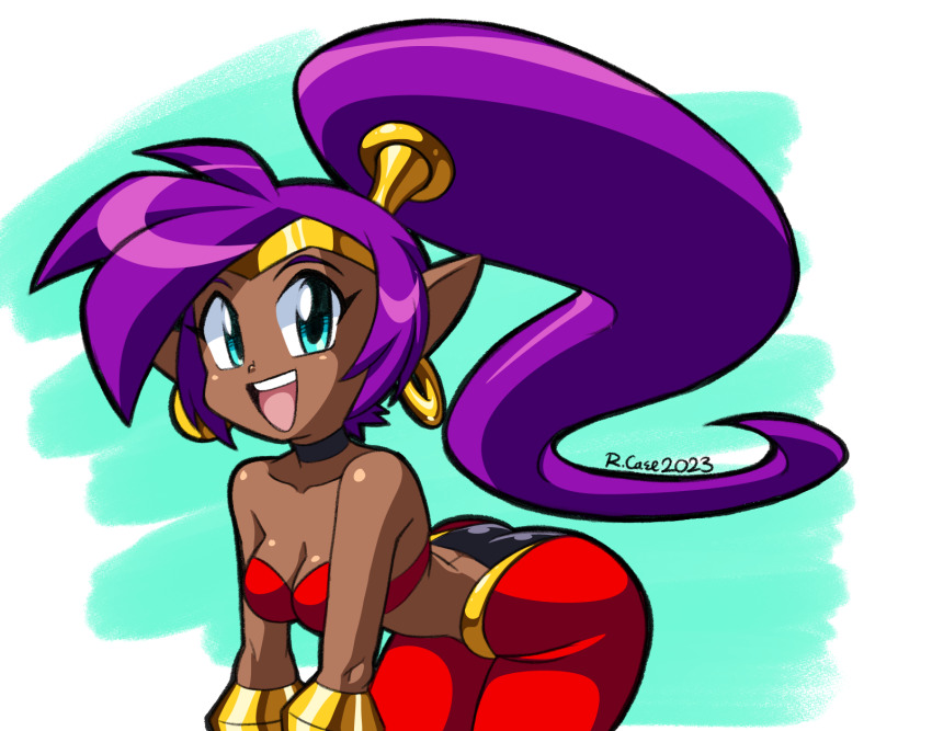 Shantae Rule 34 Image