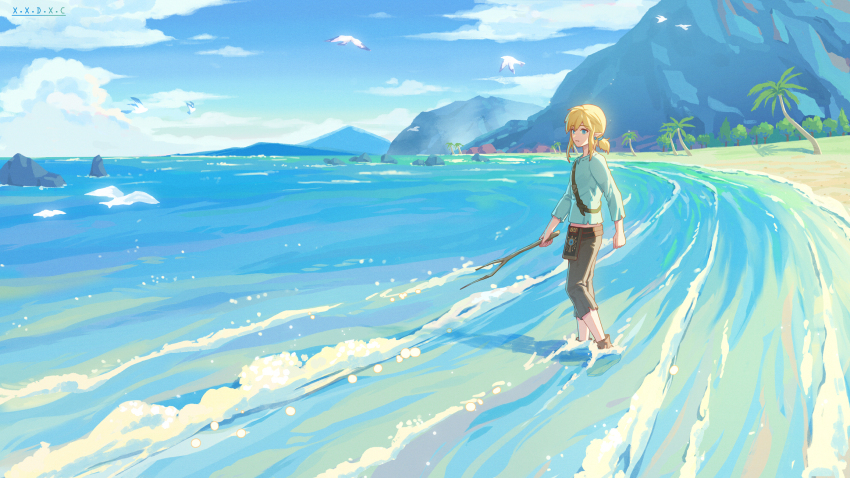 Link (Nintendo) Rule 34 Image