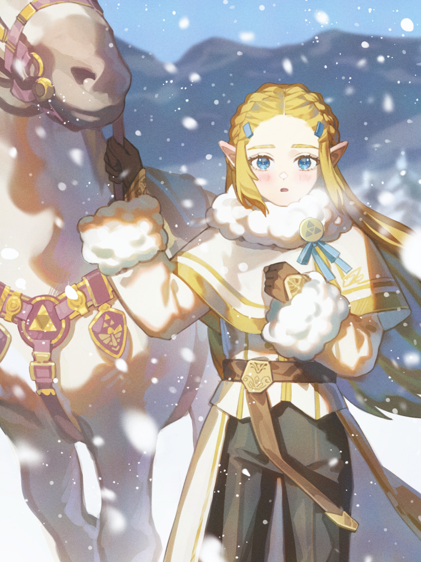Princess Zelda (Nintendo) Rule 34 Image