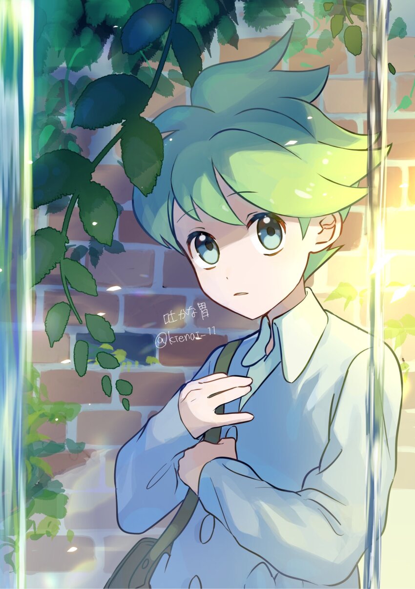 Wally (Pokemon) Rule 34 Image