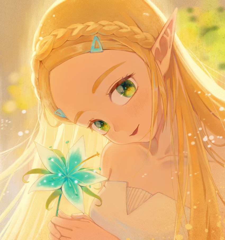 Princess Zelda (Nintendo) Rule 34 Image