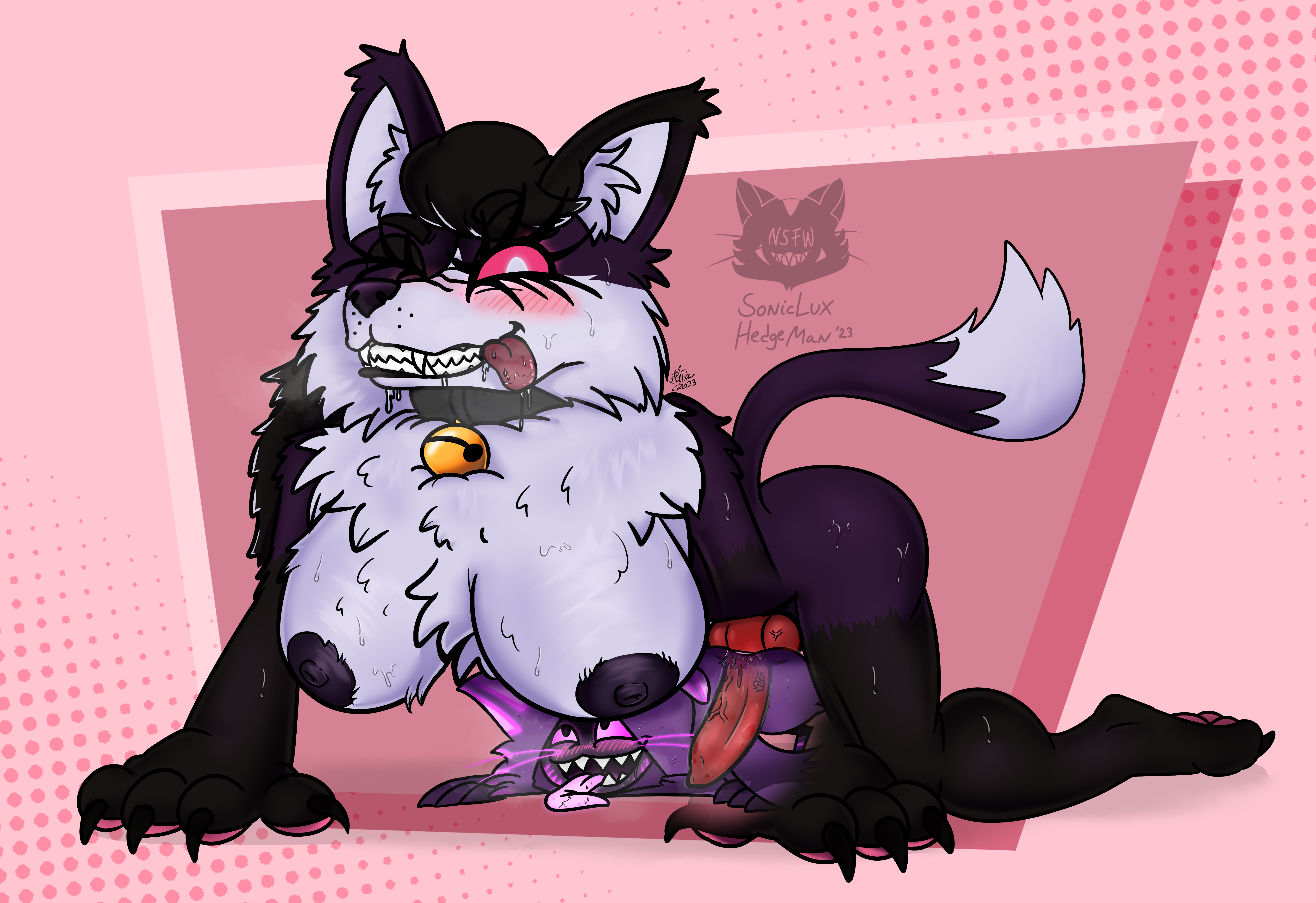 Soniclux Rule 34 Image
