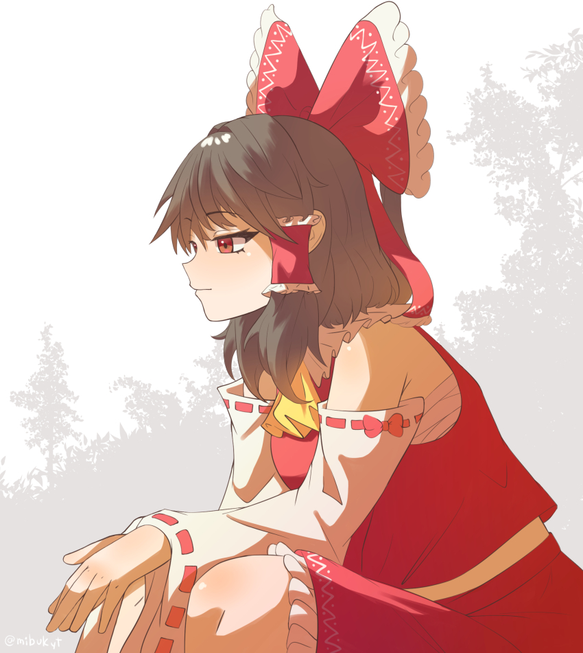 Hakurei Reimu (Touhou) Rule 34 Image