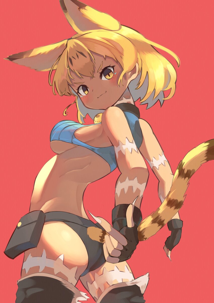 Serval (Kemono Friends) Rule 34 Image