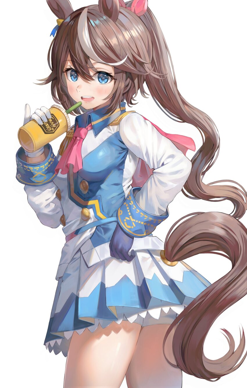 Tokai Teio (Umamusume) Rule 34 Image