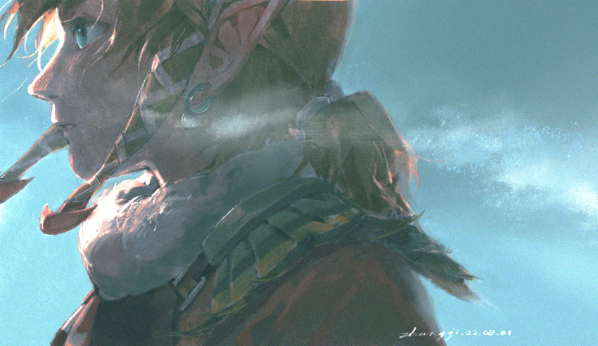 Link (Nintendo) Rule 34 Image
