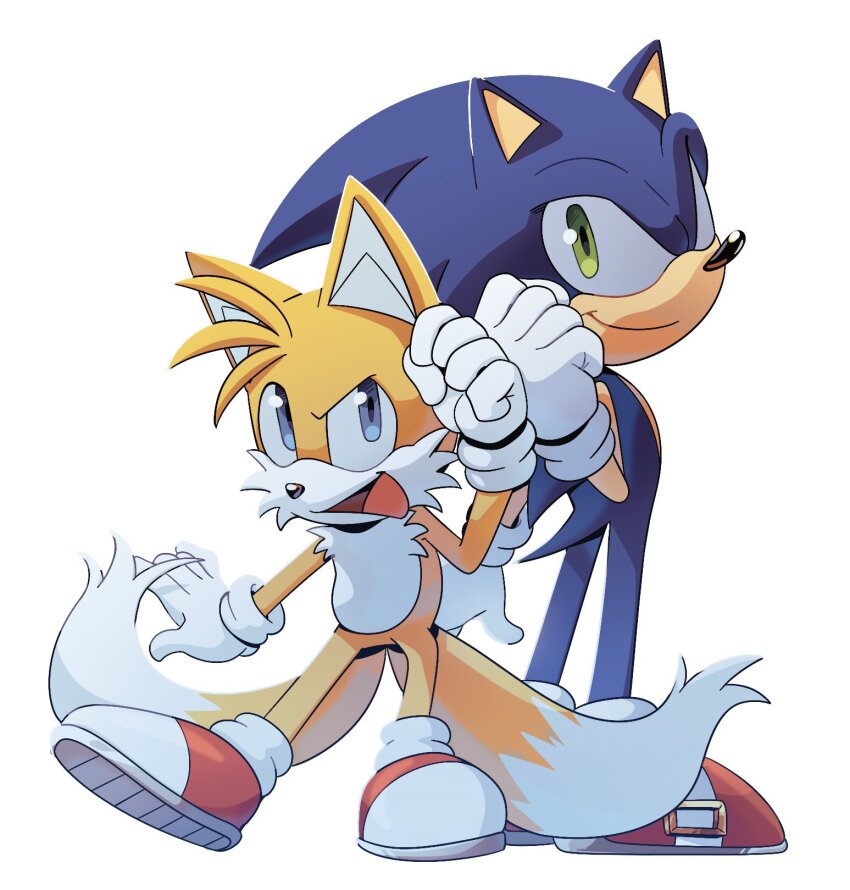 Sonic The Hedgehog (Sonic (Series)) Rule 34 Image