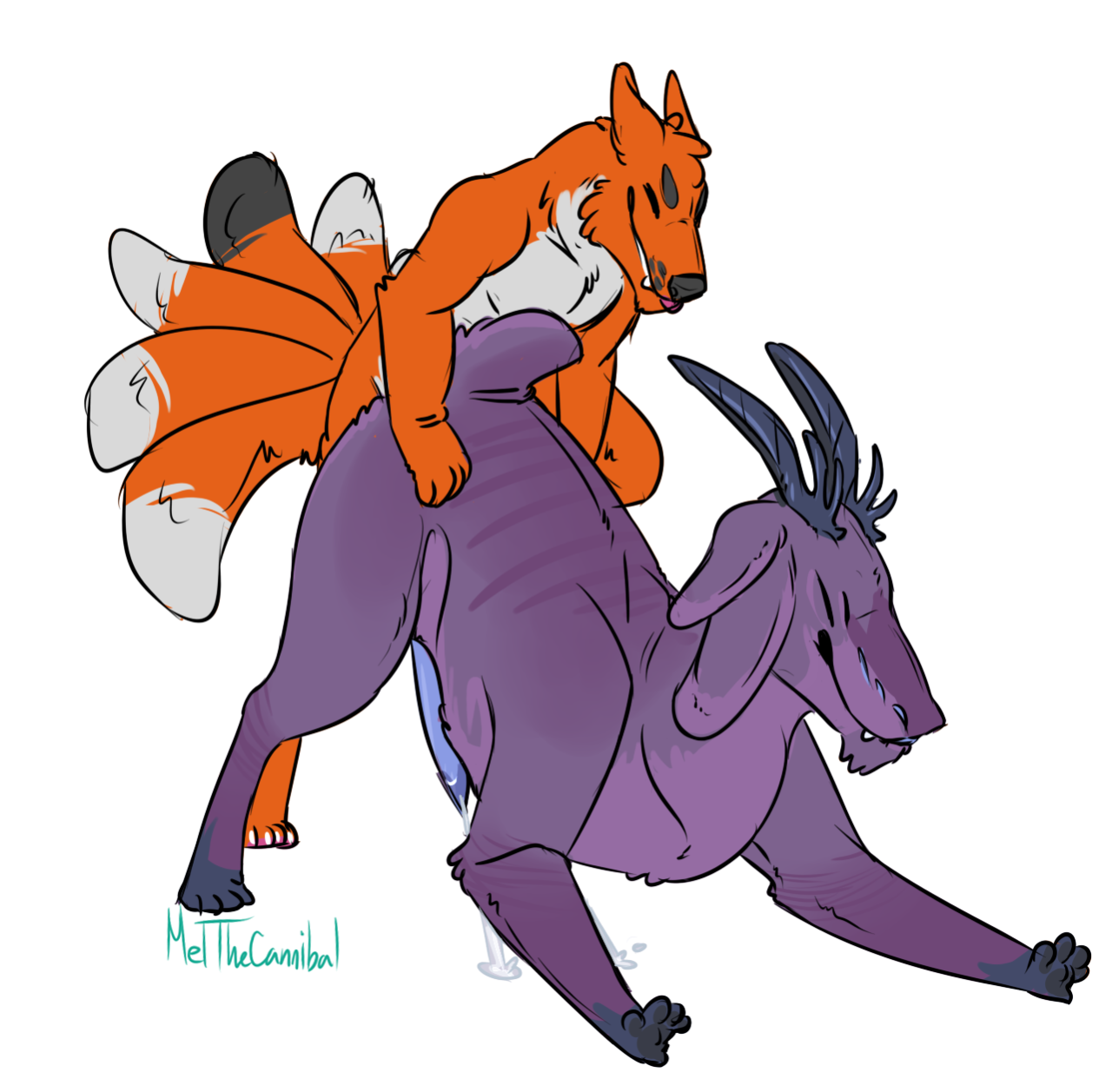 Animal Genitalia Rule 34 Image