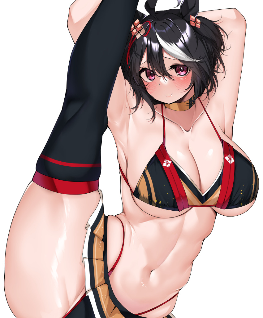 Kitasan Black (Umamusume) Rule 34 Image