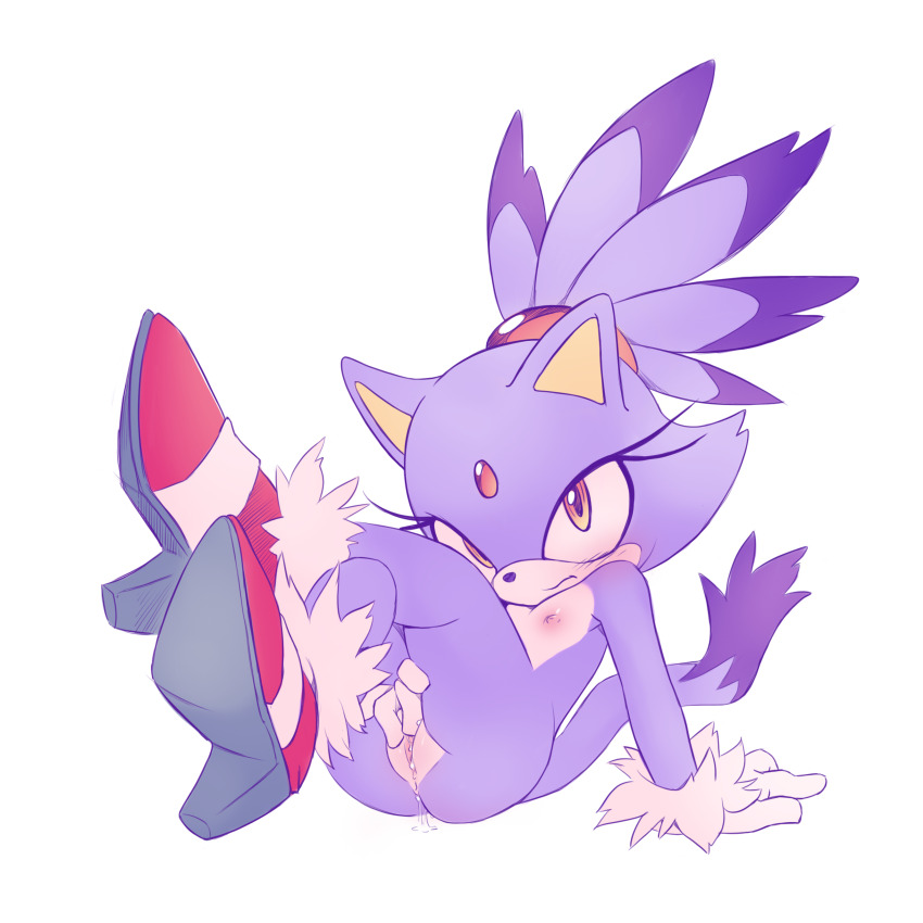 Blaze The Cat (Sonic (Series)) Rule 34 Image