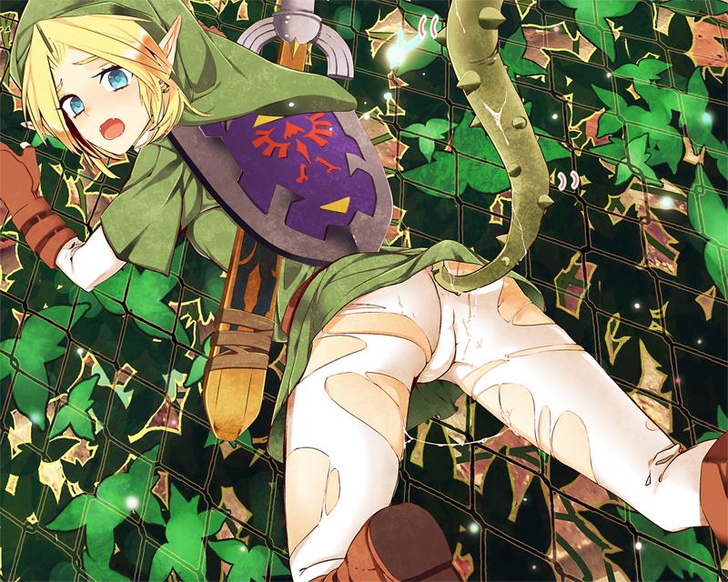Hero Of Time (Nintendo) Rule 34 Image