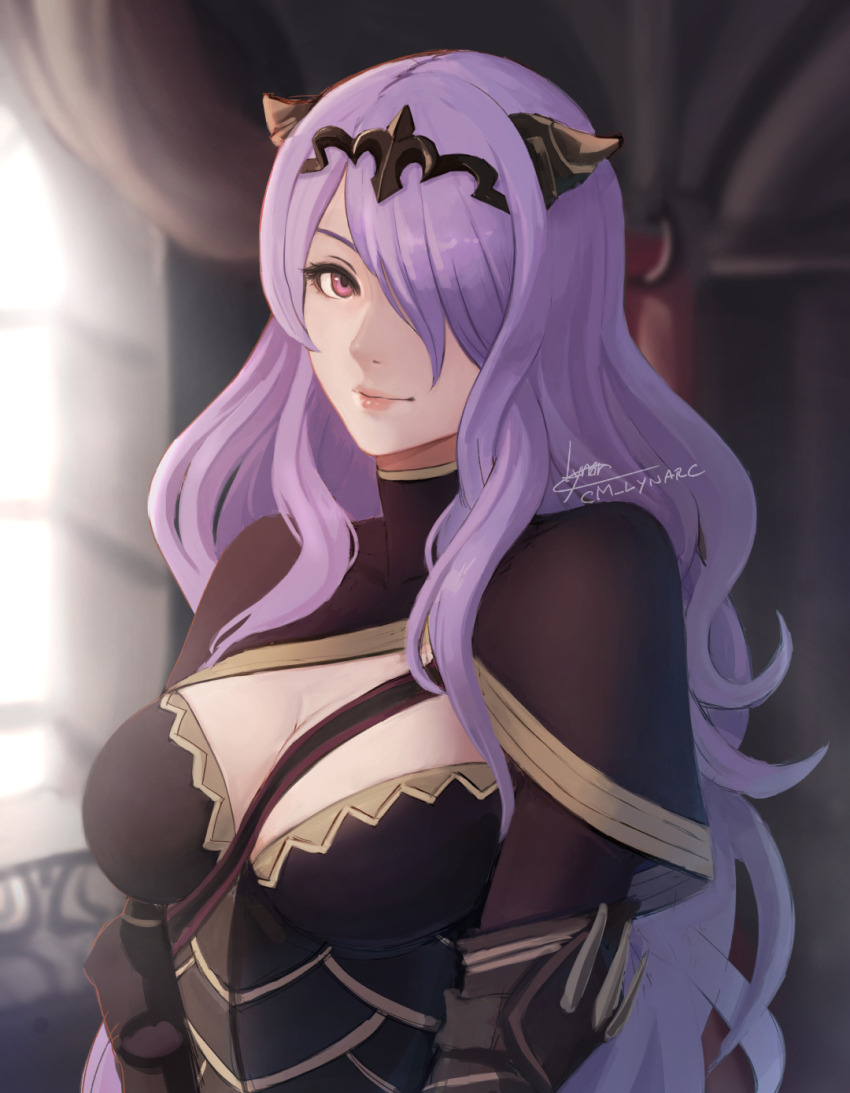 Camilla (Fire Emblem) Rule 34 Image