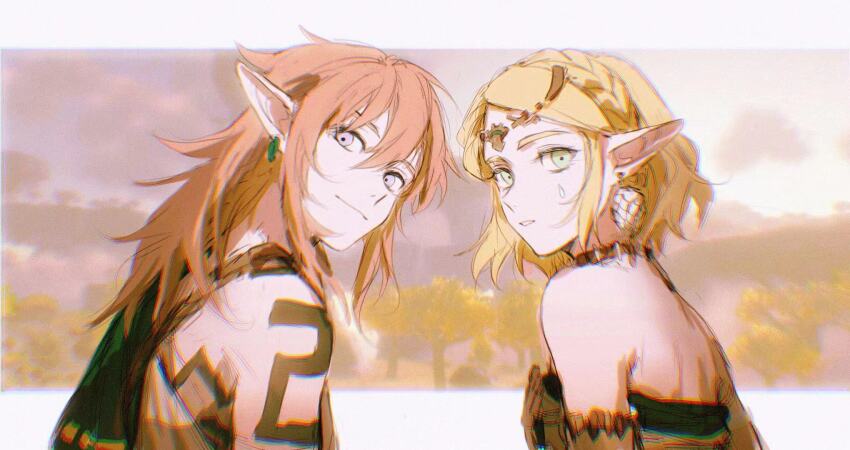 Link (Nintendo) Rule 34 Image