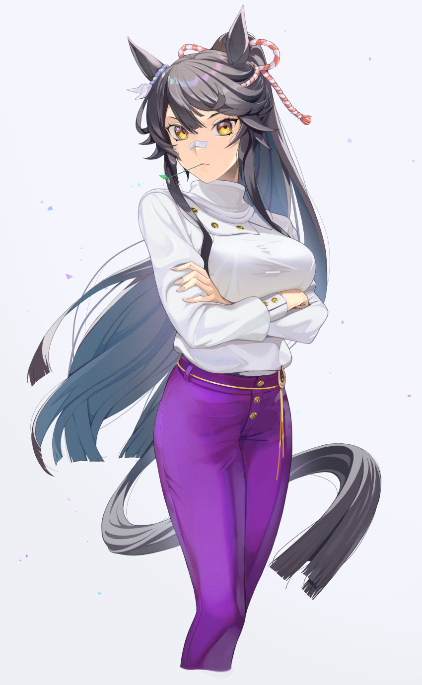 Narita Brian (Umamusume) Rule 34 Image