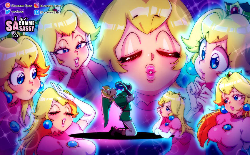 Link (Mario (Series)) Rule 34 Image