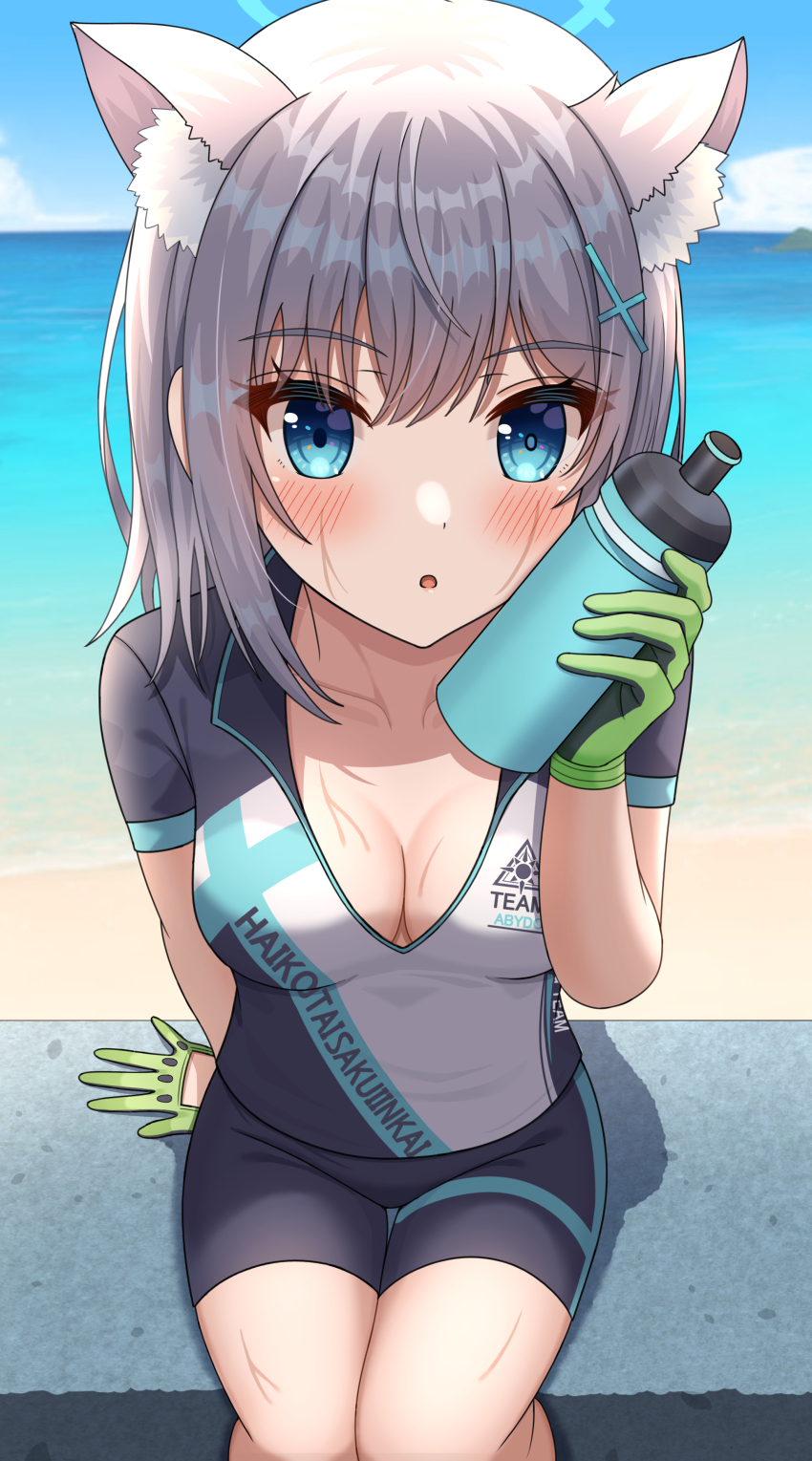 Shiroko (Blue Archive) Rule 34 Image