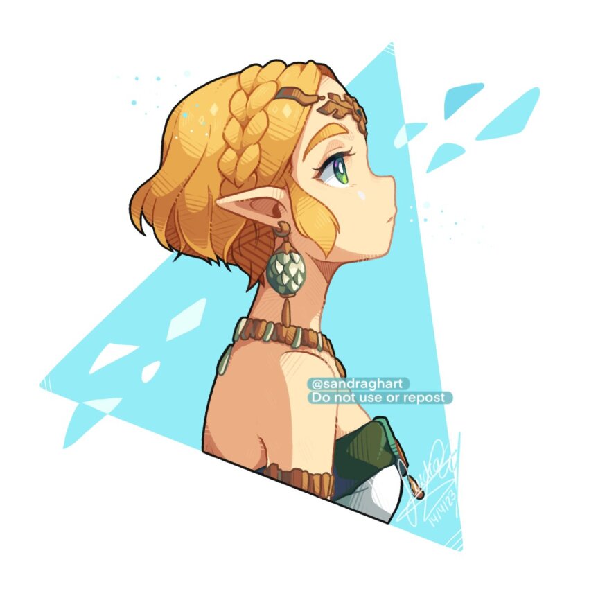 Princess Zelda (Nintendo) Rule 34 Image
