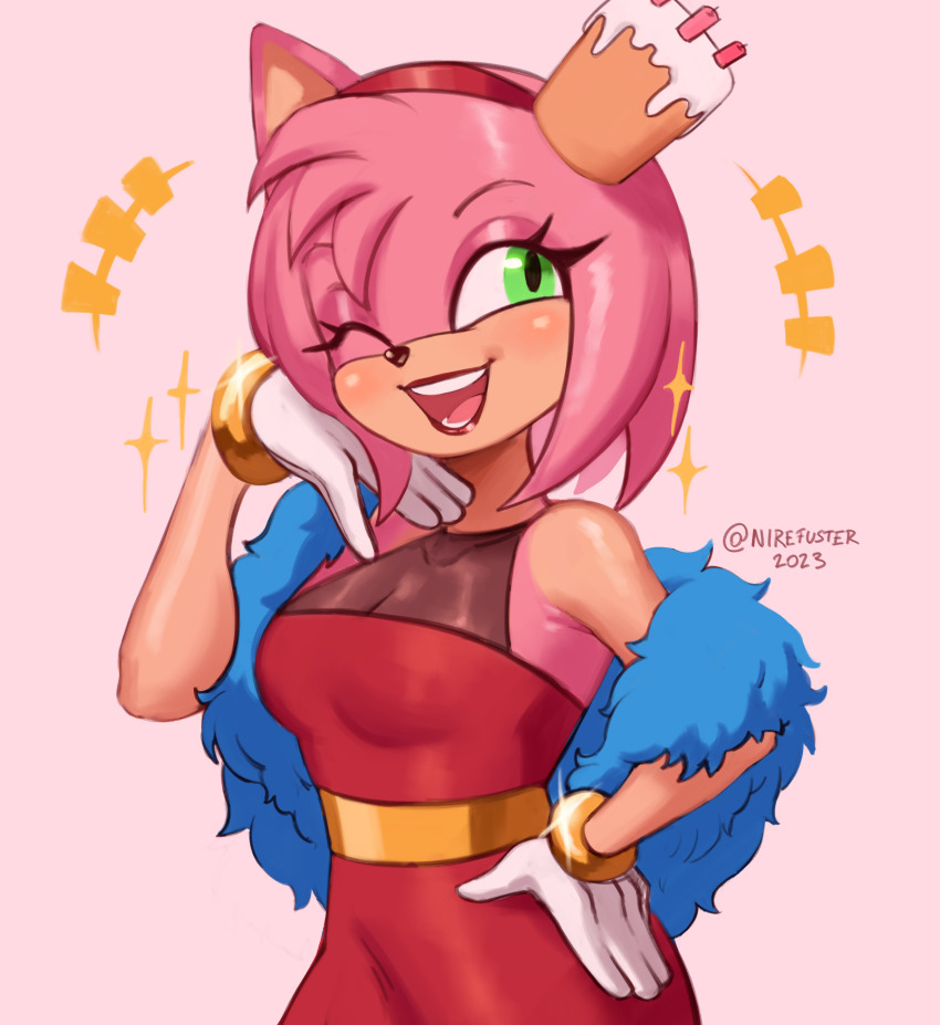 Amy Rose (Sonic (Series)) Rule 34 Image