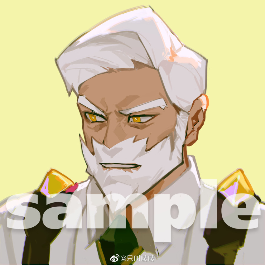 Drayden (Pokemon) Rule 34 Image