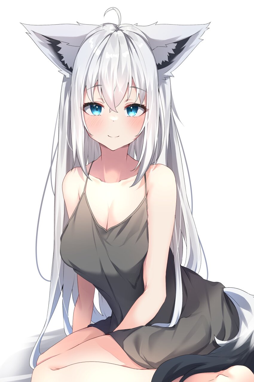 Shirakami Fubuki (Hololive) Rule 34 Image