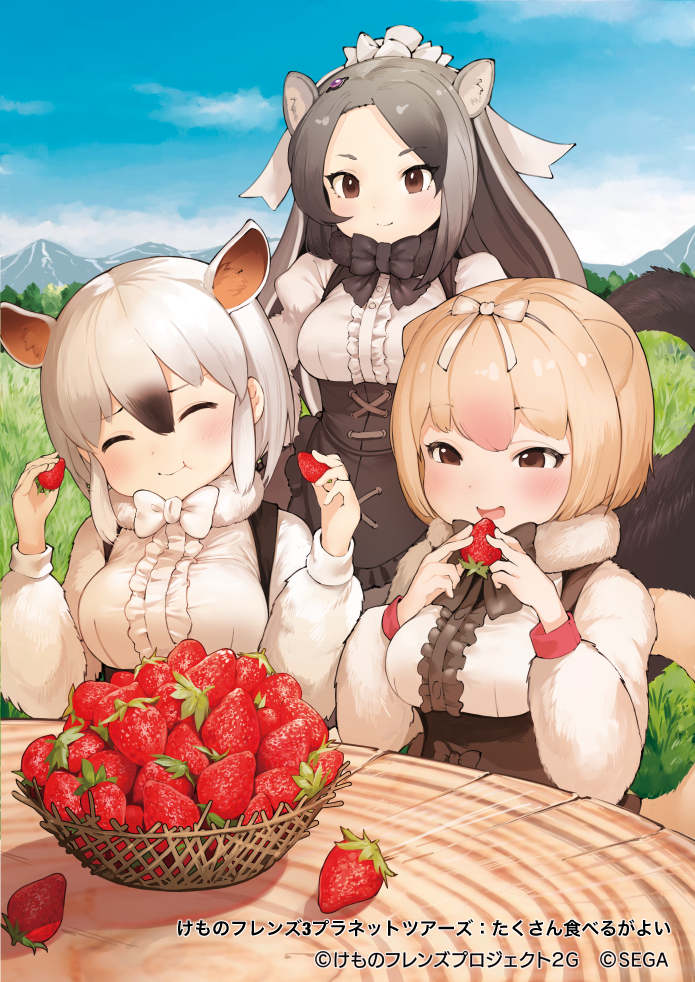 Southern Tamandua (Kemono Friends) Rule 34 Image