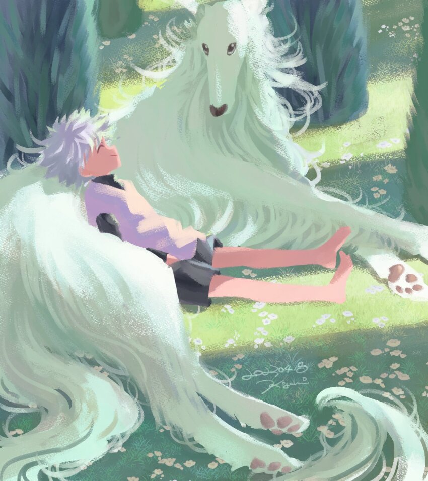 Killua Zoldyck (Hunter X Hunter) Rule 34 Image