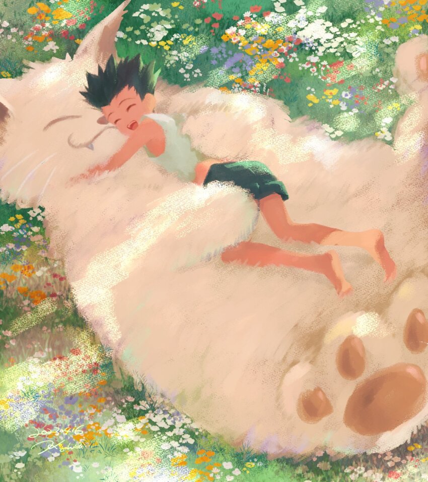 Gon Freecss (Hunter X Hunter) Rule 34 Image