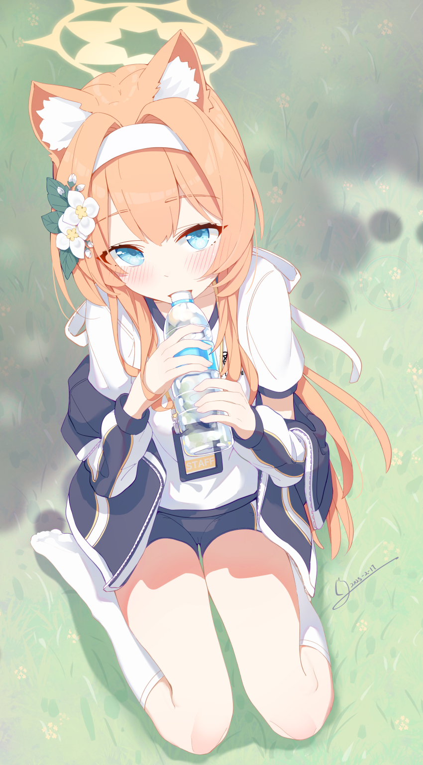 Mari (Blue Archive) Rule 34 Image