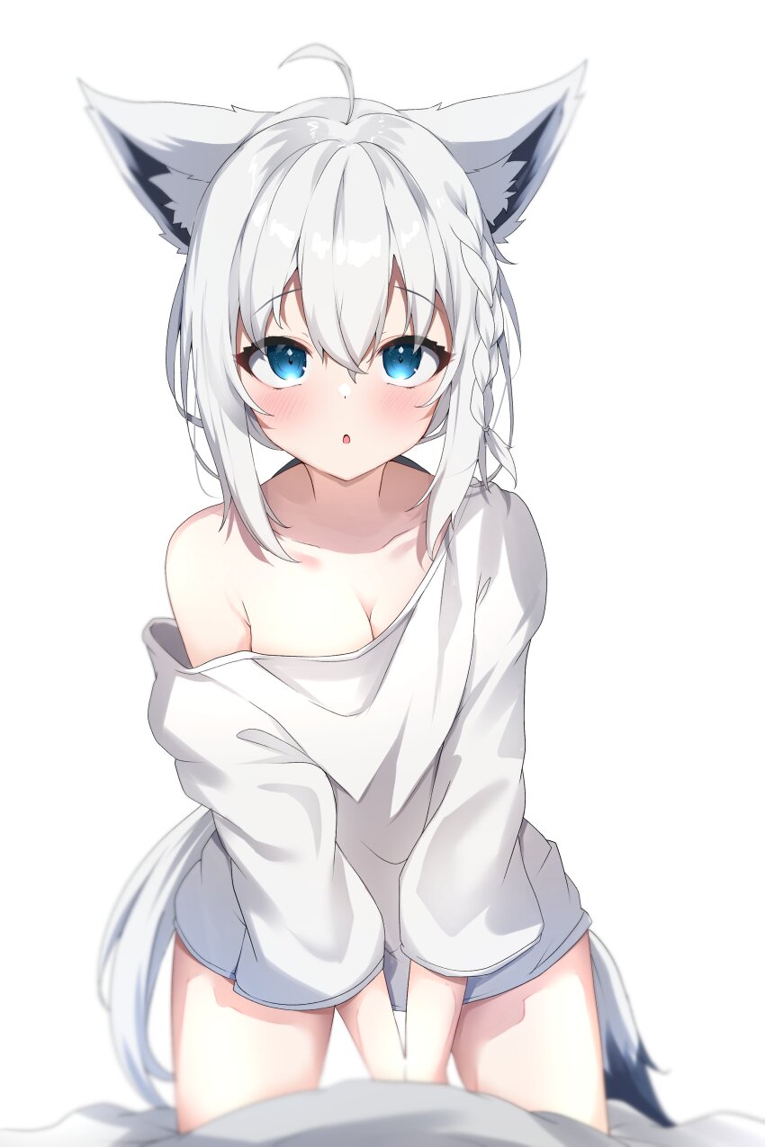 Shirakami Fubuki (Hololive) Rule 34 Image