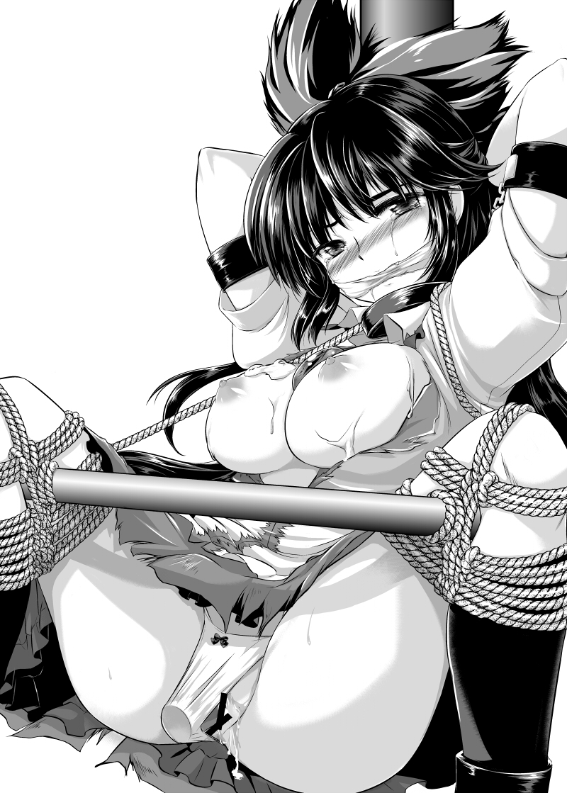 Utsuho Reiuji (Touhou) Rule 34 Image