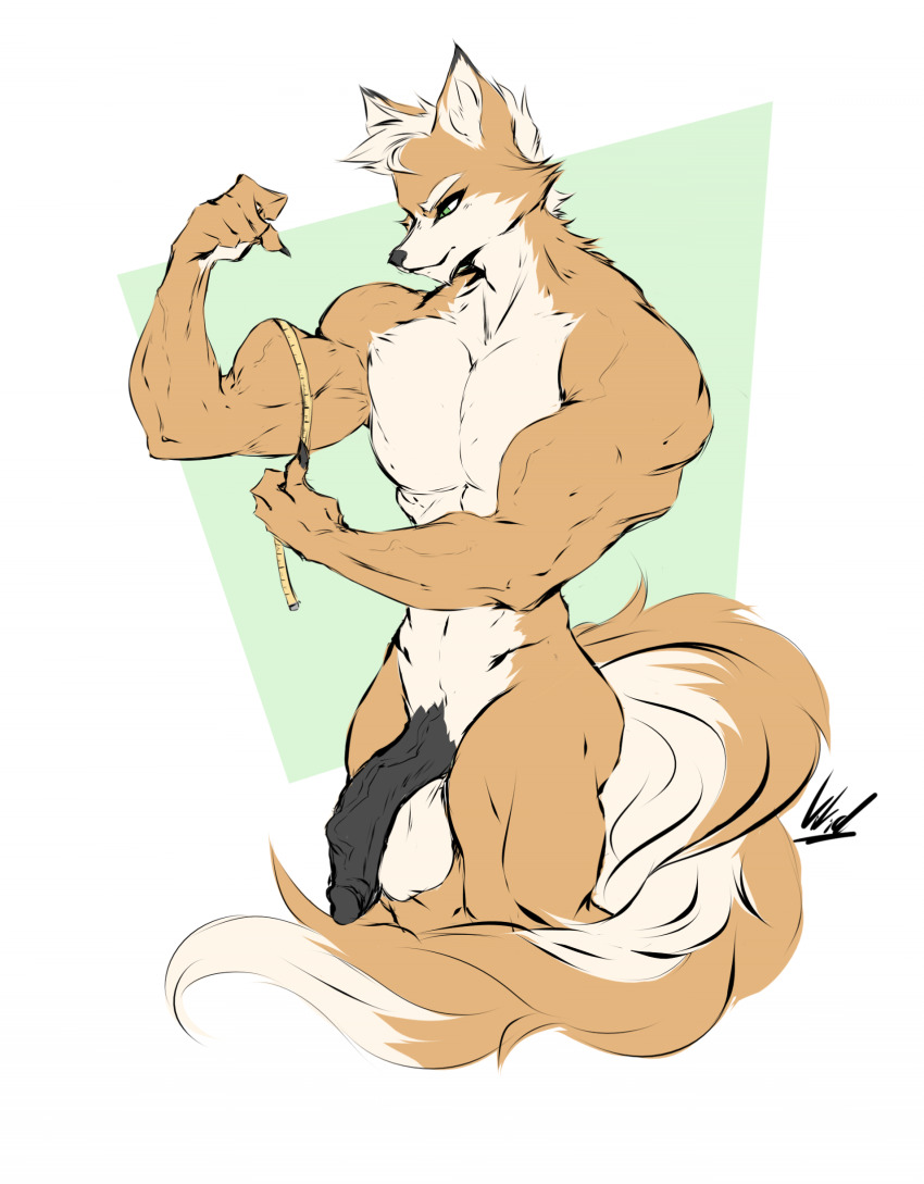 Fox Mccloud (Nintendo) Rule 34 Image