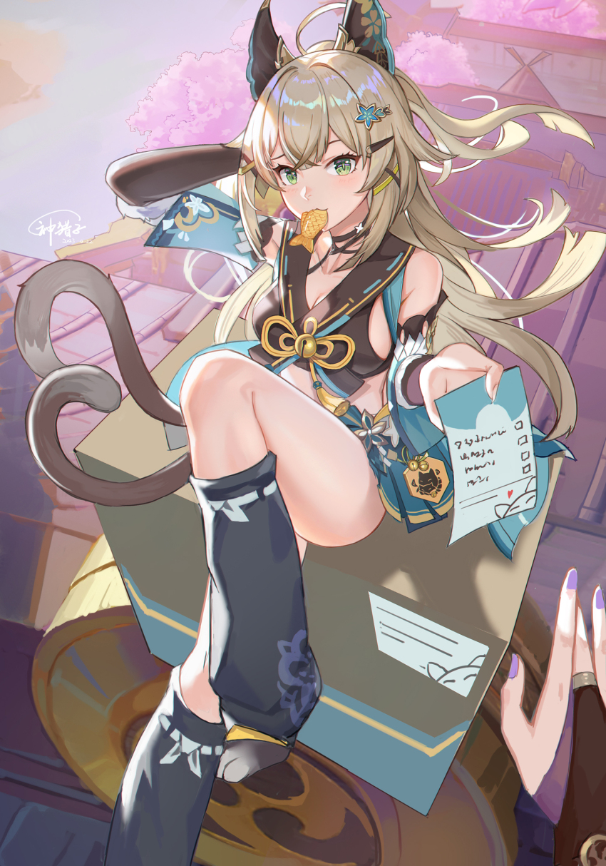 Kirara (Genshin Impact) Rule 34 Image