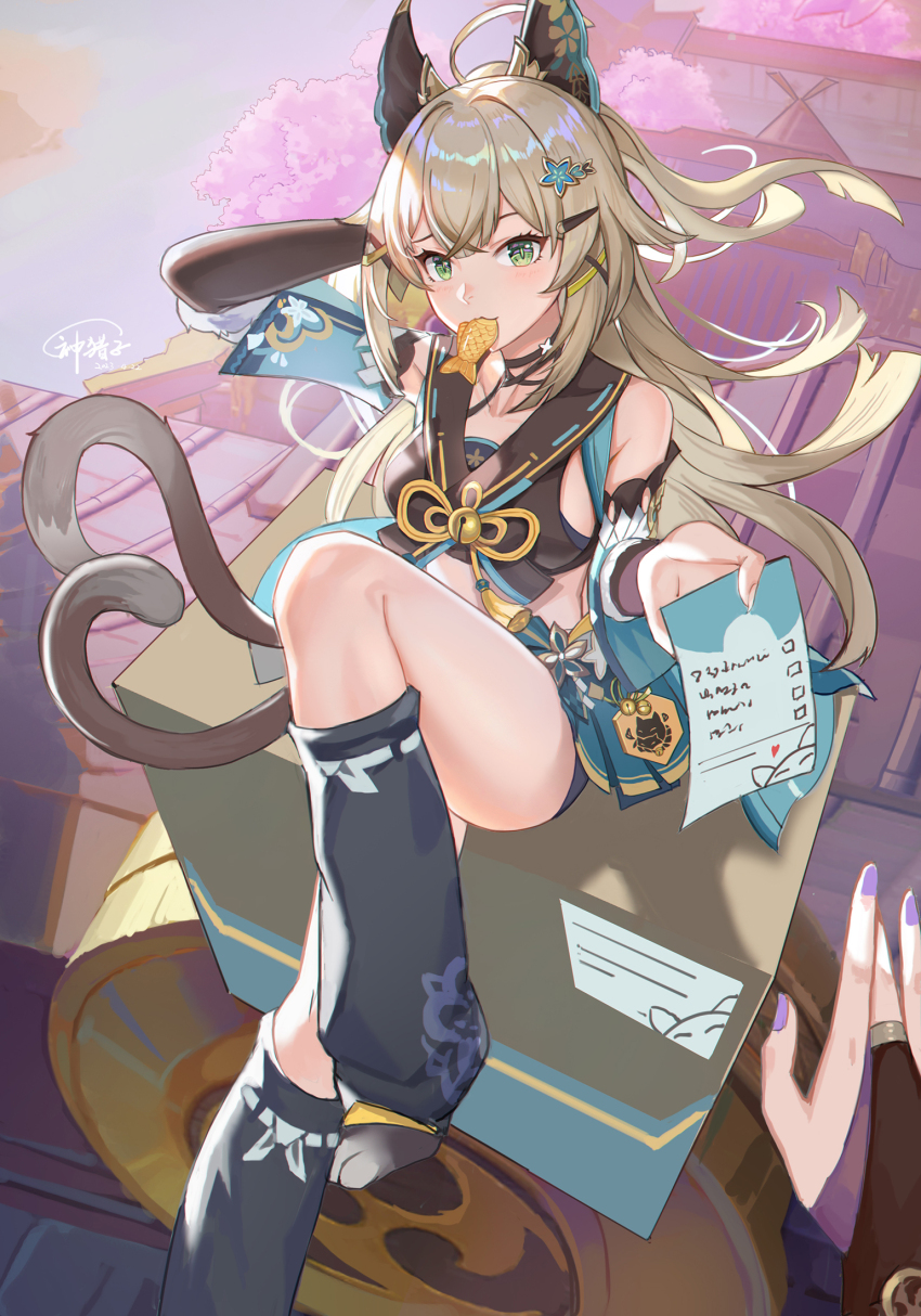 Kirara (Genshin Impact) Rule 34 Image