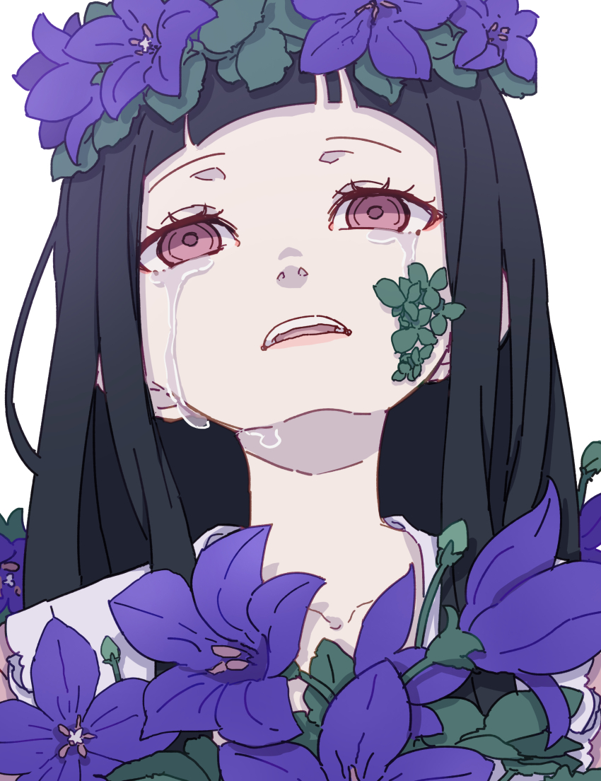 Houraisan Kaguya (Touhou) Rule 34 Image