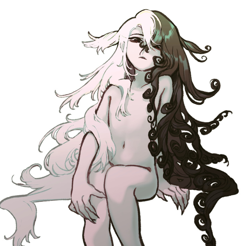 Ashiya Douman (Fate) Rule 34 Image