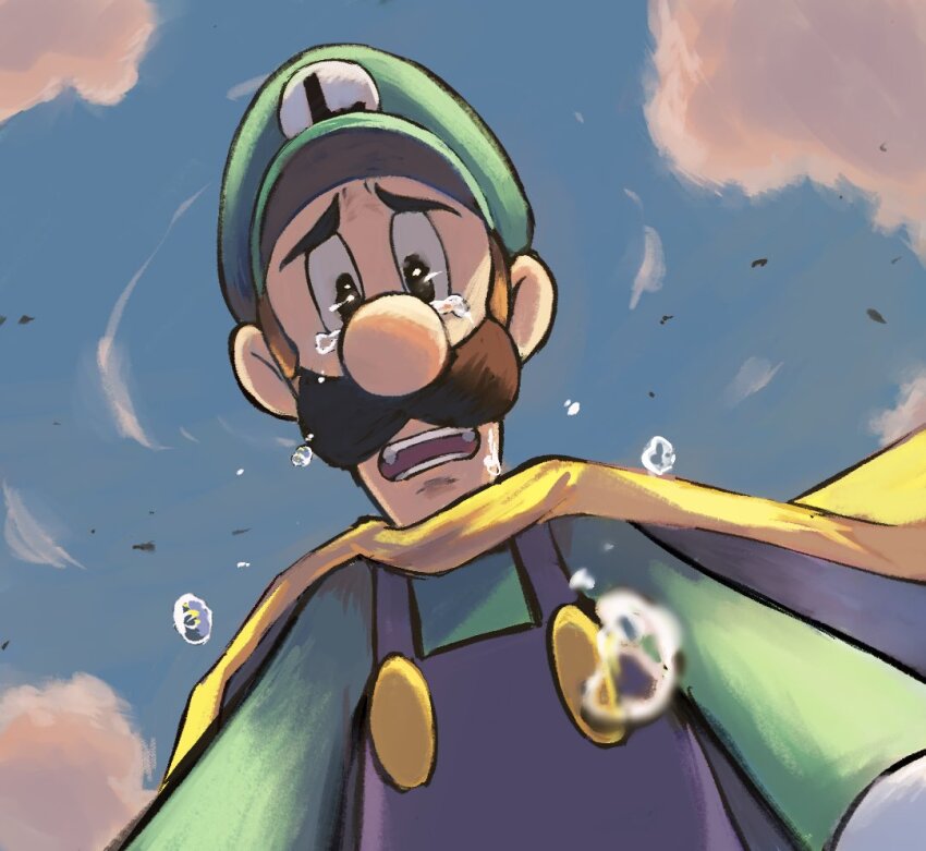 Luigi (Mario &Amp; Luigi Rpg) Rule 34 Image
